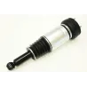 AIR SPRING & DAMPER ASSY