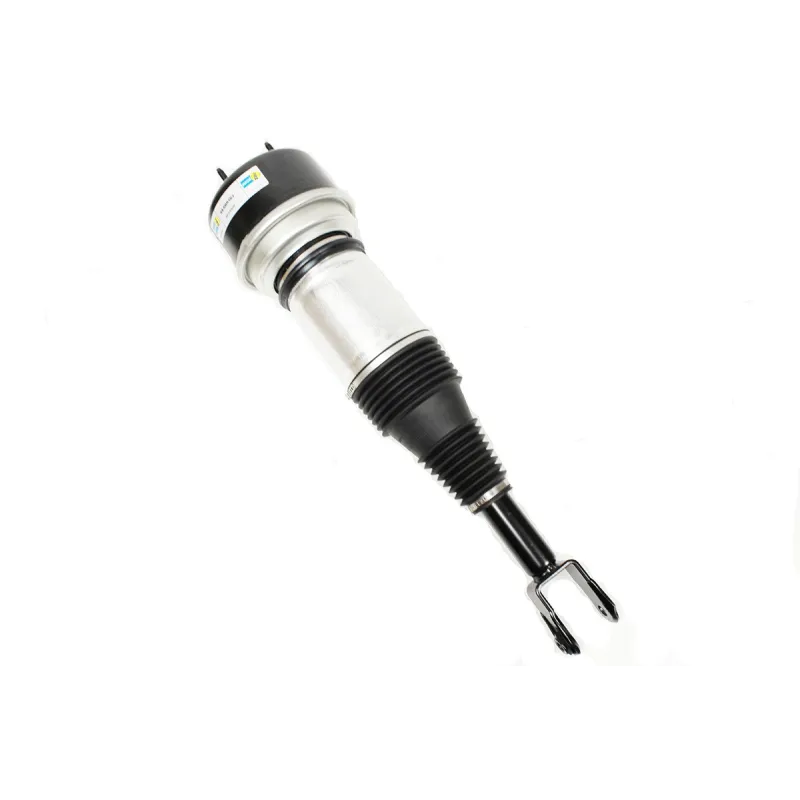 AIR SPRING & DAMPER ASSY