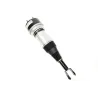 AIR SPRING & DAMPER ASSY