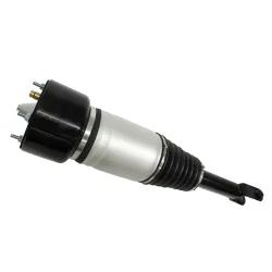 AIR SPRING & DAMPER ASSY