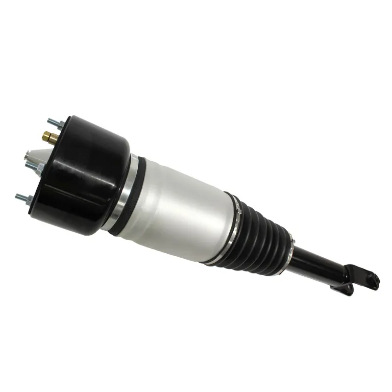AIR SPRING & DAMPER ASSY