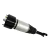 AIR SPRING & DAMPER ASSY