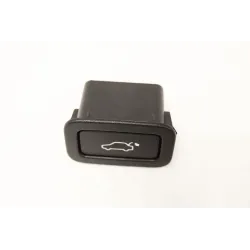 SWITCH TAILGATE/TRUNK LID