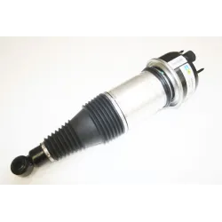 AIR SPRING+DAMPER
