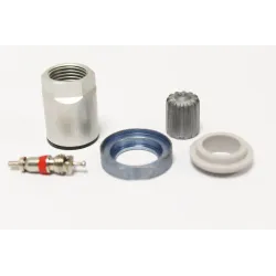 TYRE VALVE KIT