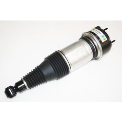 AIR SPRING+DAMPER