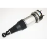 AIR SPRING+DAMPER