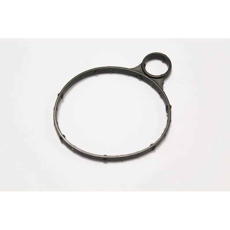 GASKET-VACUUM PUMP
