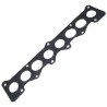 Inlet manifold gasket for the 300TDi