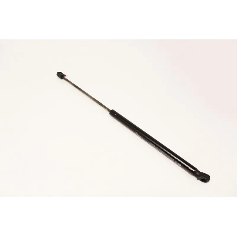 TAILGATE STRUT