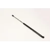 TAILGATE STRUT
