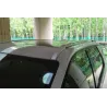 Roof rail - Silver