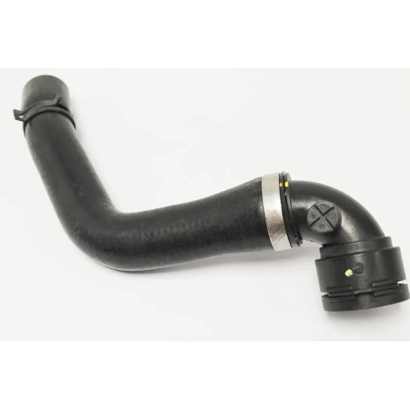 HOSE-RADIATOR BOTTOM
