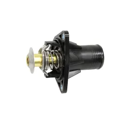 THERMOSTAT ASSY