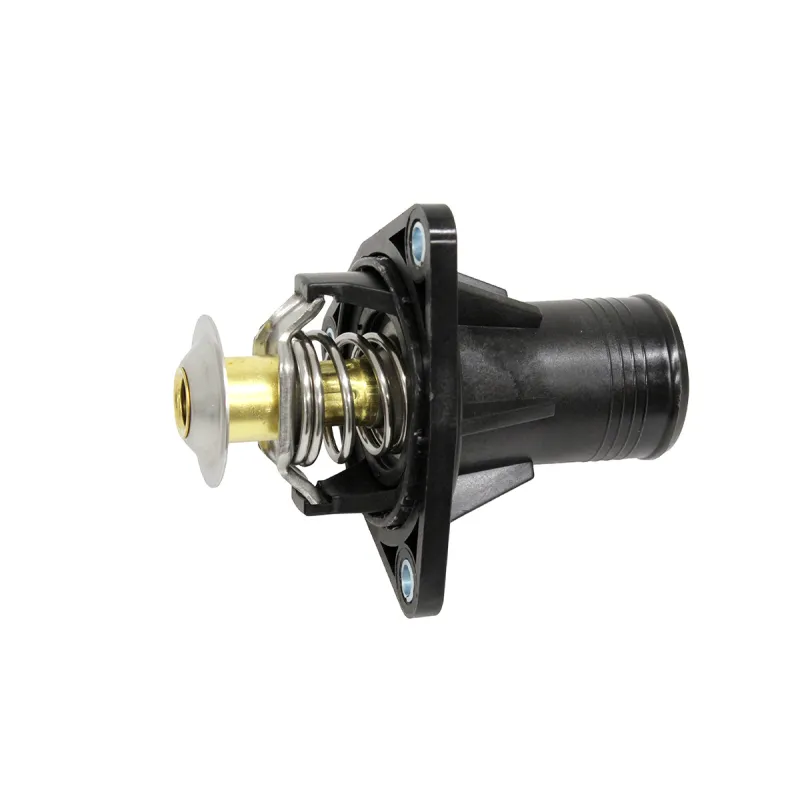 THERMOSTAT ASSY