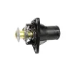 THERMOSTAT ASSY