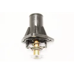 THERMOSTAT ASSY