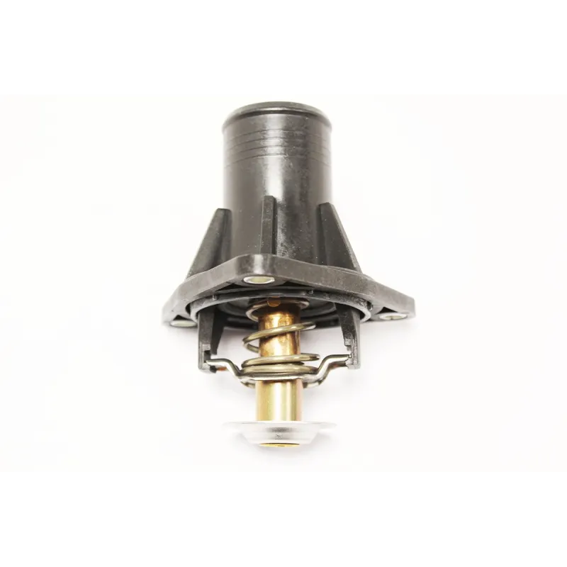 THERMOSTAT ASSY