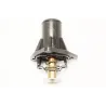 THERMOSTAT ASSY