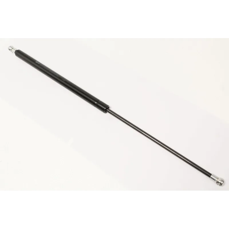 TAILGATE STRUT
