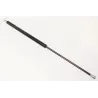 TAILGATE STRUT