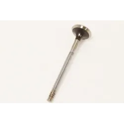 EXHAUST VALVE