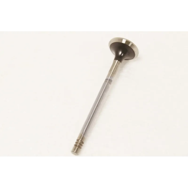 EXHAUST VALVE