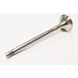 EXHAUST VALVE