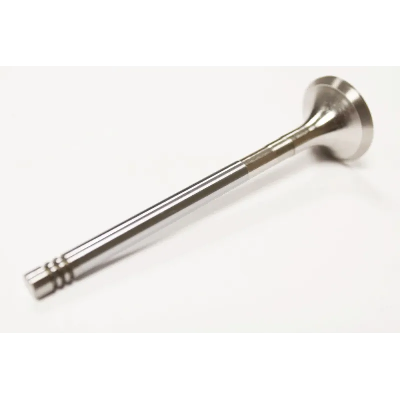 EXHAUST VALVE