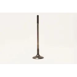 VALVE-INLET