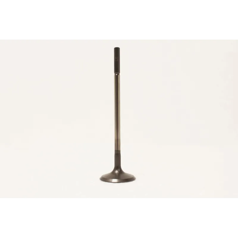 VALVE-INLET