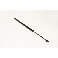 TAILGATE STRUT