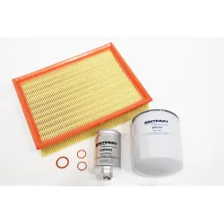SERVICE KIT - DIS 1 - 3.9 EFI