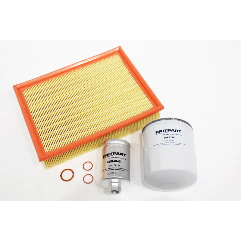SERVICE KIT - DIS 1 - 3.9 EFI