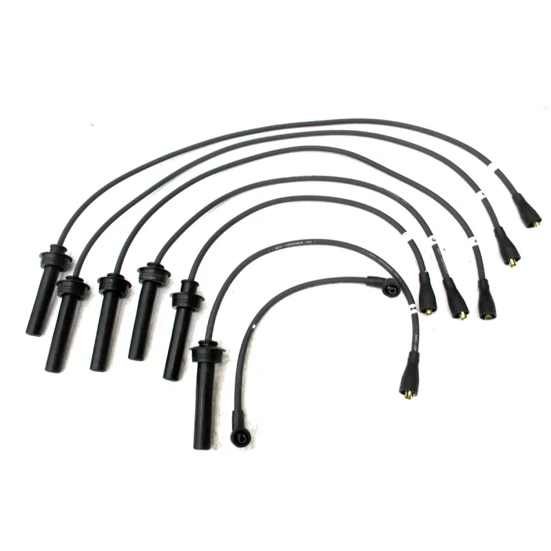 PLUG LEAD KIT