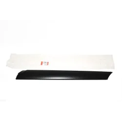 MOULDING - WINDSHIELD