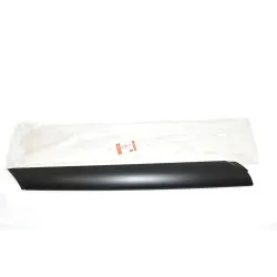 MOULDING - WINDSHIELD