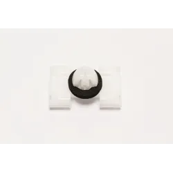 CLIP