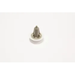CLIP