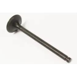 EXHAUST VALVE
