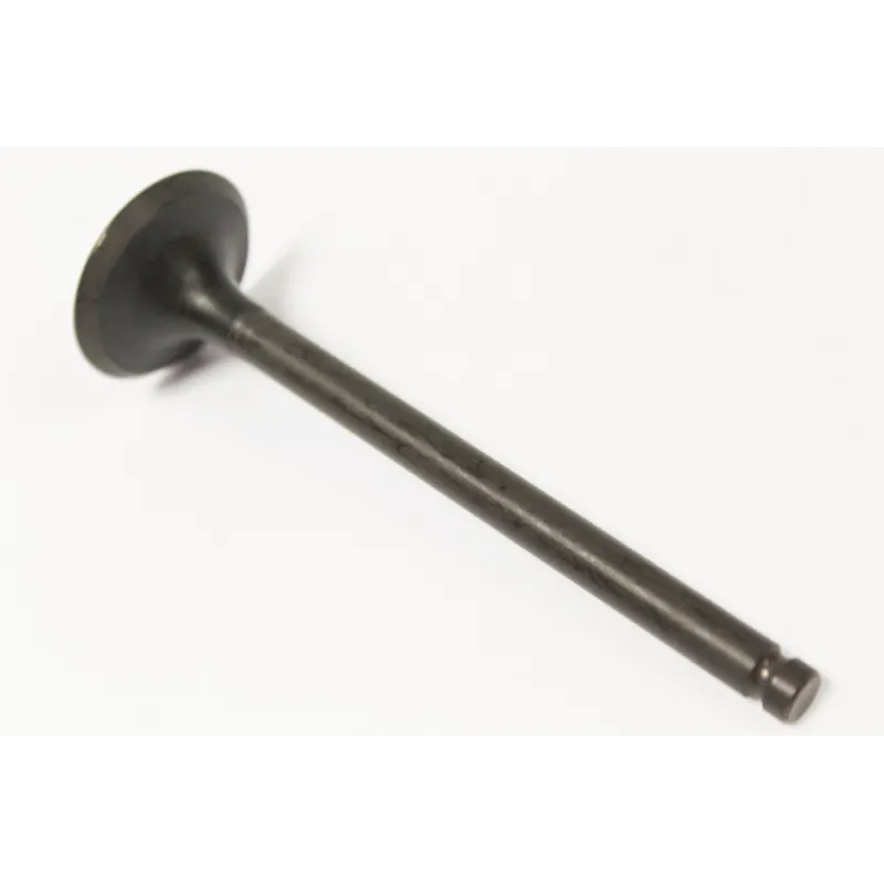 EXHAUST VALVE