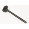 EXHAUST VALVE