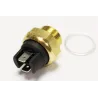 THERMO SWITCH