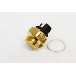 THERMO SWITCH