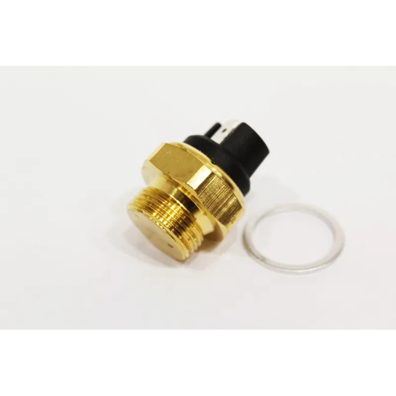 THERMO SWITCH