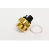THERMO SWITCH
