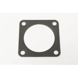 THERMOSTAT GASKET