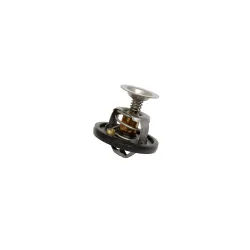 THERMOSTAT - DEFENDER 87 - 06 / D1 / RRC