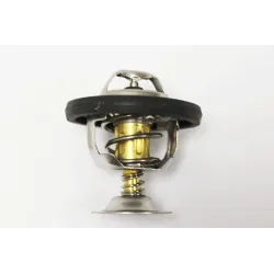 77/78 DEGREE THERMOSTAT