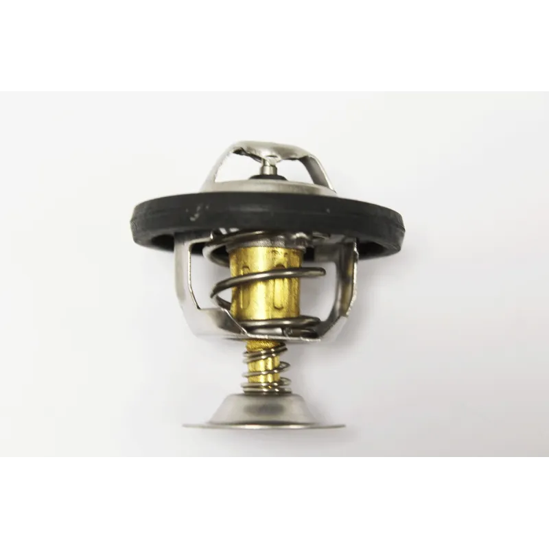 77/78 DEGREE THERMOSTAT